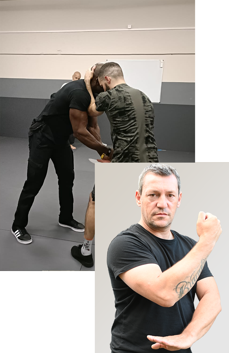 https://mdsgeneve.ch/wp-content/uploads/2023/08/timeline_inner_export_2.png